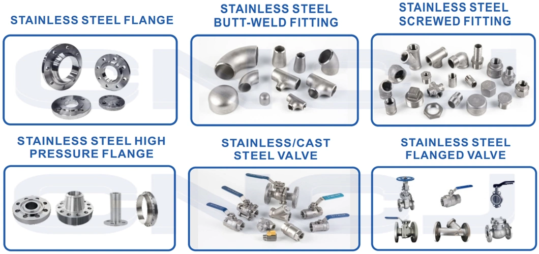 ANSI B16.36 Class 300 400 600 900 1500 Orifice Forged Welding Neck Raised Face Ring-Type Joint Ss Flange