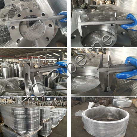 Forged Steel Slip-on/ Lap Joint/Flat/Orifice/Soket Weld/Blind /Welding Neck Flanges